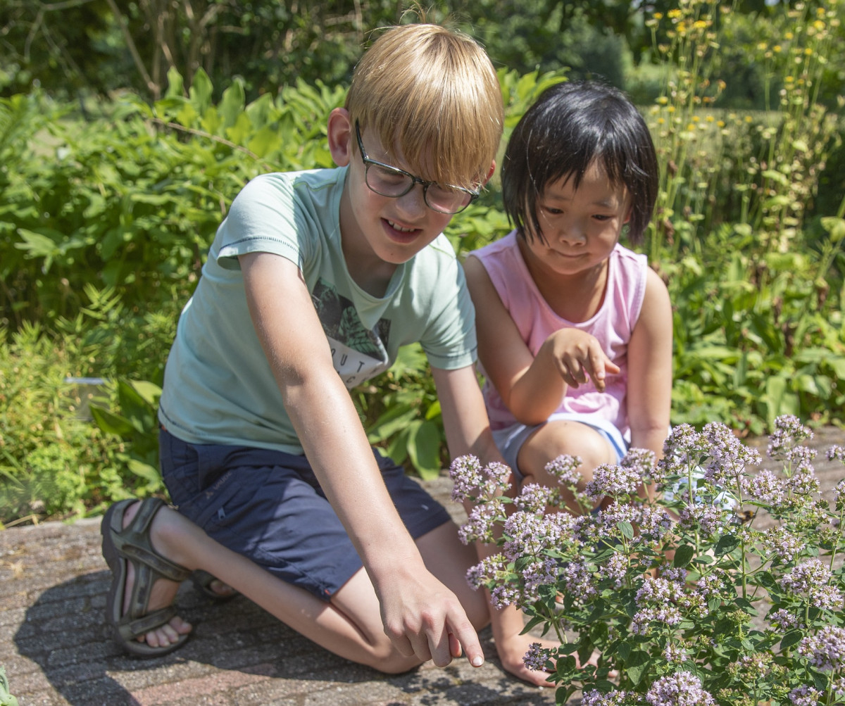 kinderen seizoensgebonden soorten zoals vlinders zoeken